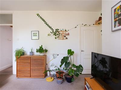 Picture 17